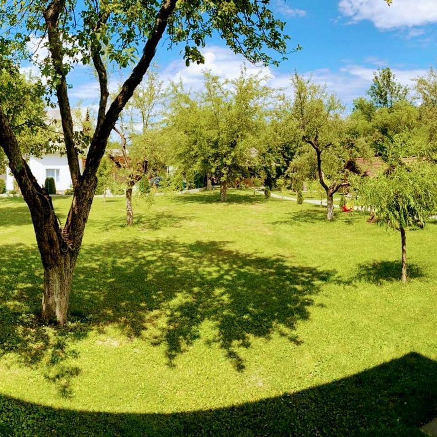 Pastravaria Alina Sirbi Exteriér fotografie