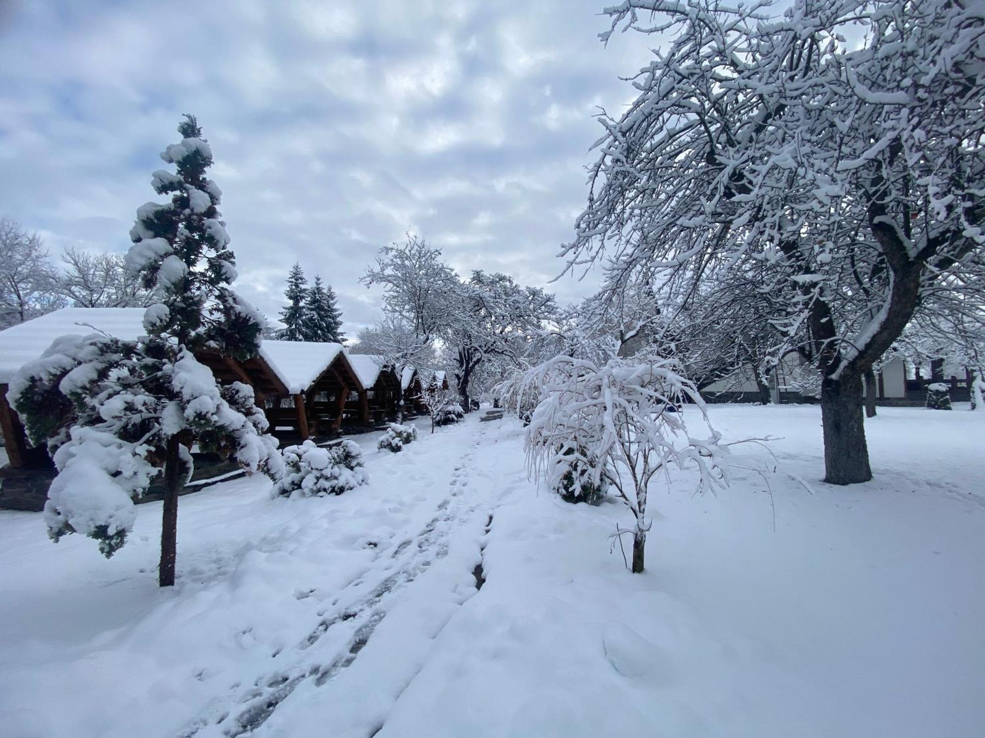 Pastravaria Alina Sirbi Exteriér fotografie