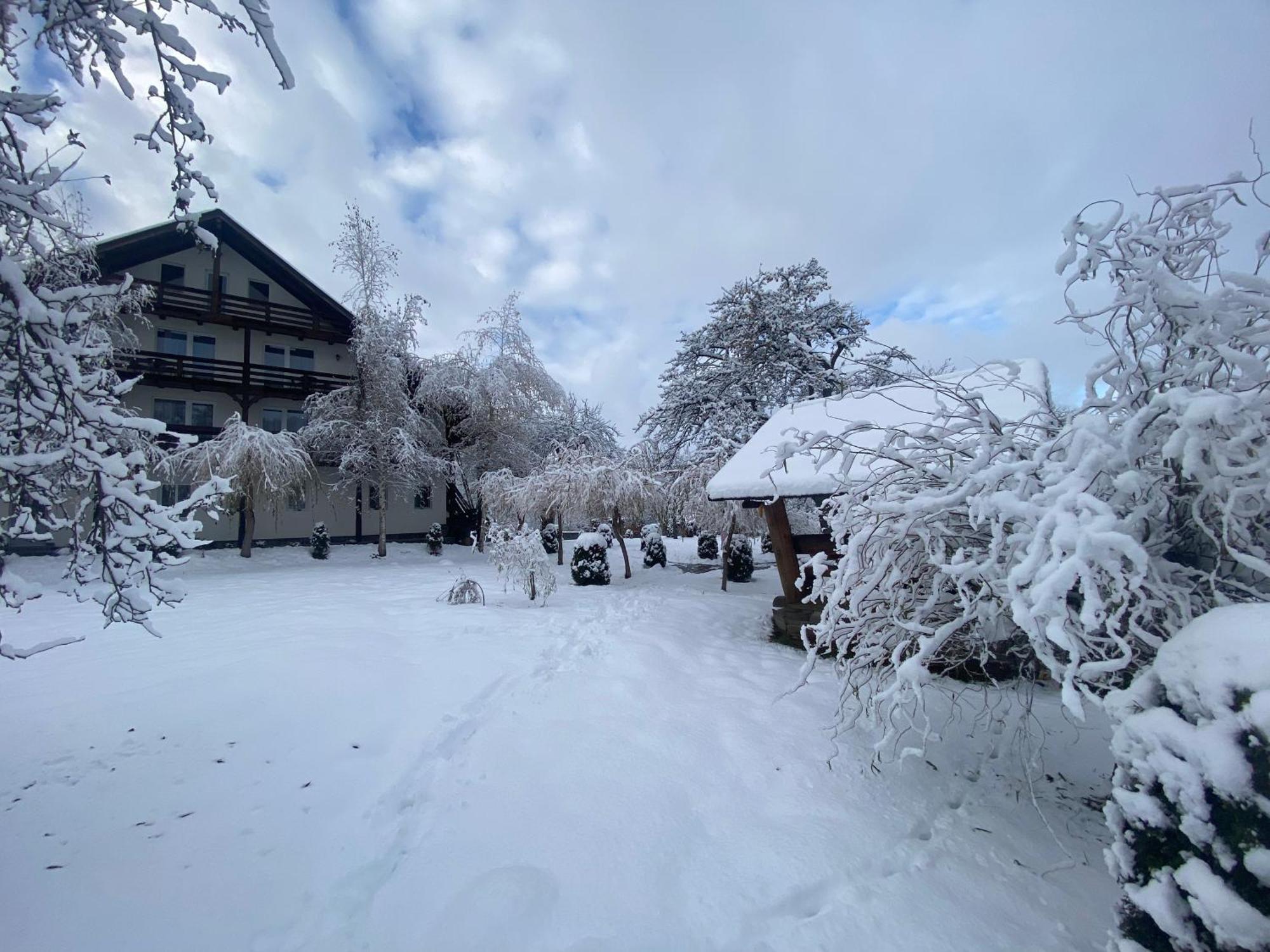 Pastravaria Alina Sirbi Exteriér fotografie